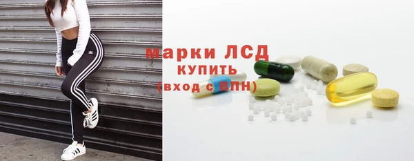 твердый Арсеньев