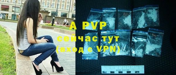 твердый Арсеньев