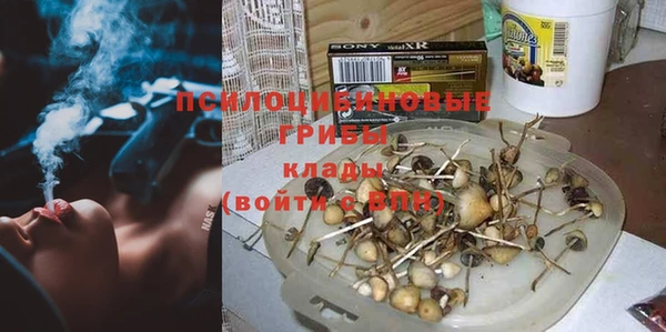 твердый Арсеньев