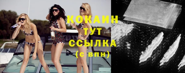 дживик Аркадак